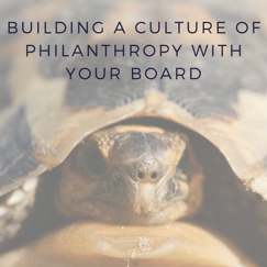 Image of a turtle with text: building a culture of philanthropy with your board