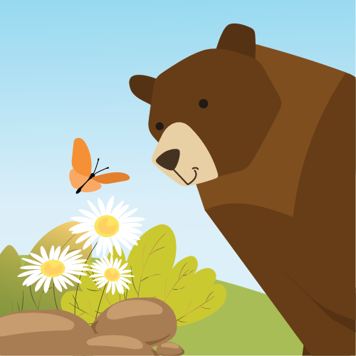 Image of a smiling bear looking at flowers and a butterfly.