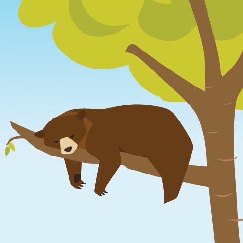 Graphic of a bear in a tree